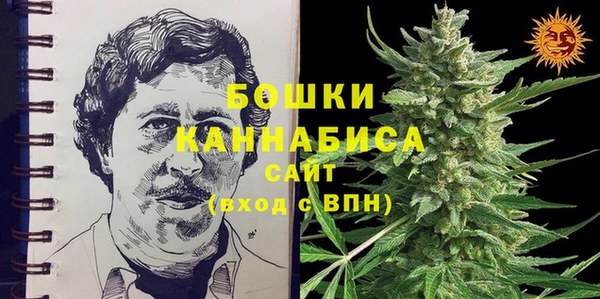 мдпв Саяногорск