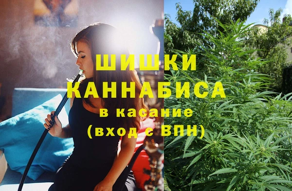 дурь Сатка