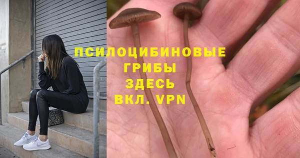 PSILOCYBIN Калининец